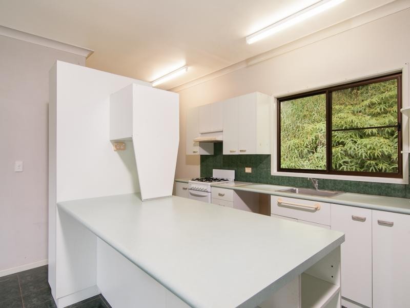 2913 Mossman Daintree Road, Daintree QLD 4873