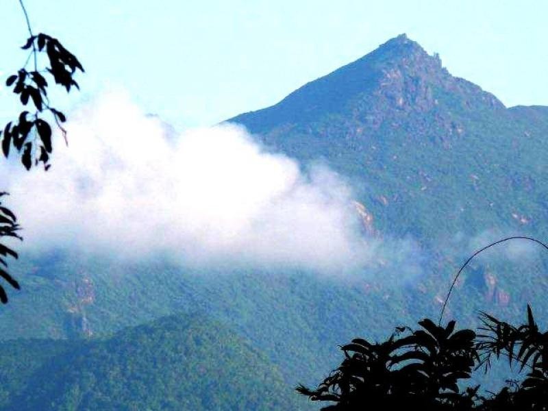 269 Kauri Close, Daintree QLD 4873