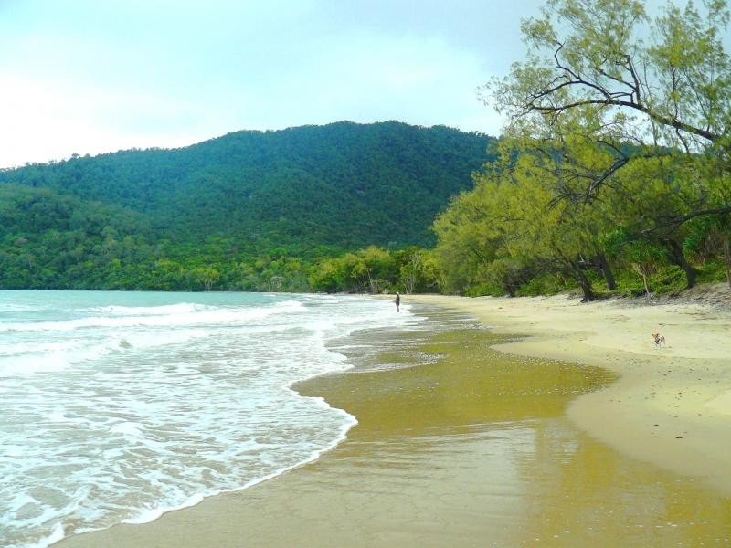 269 Kauri Close, Daintree QLD 4873