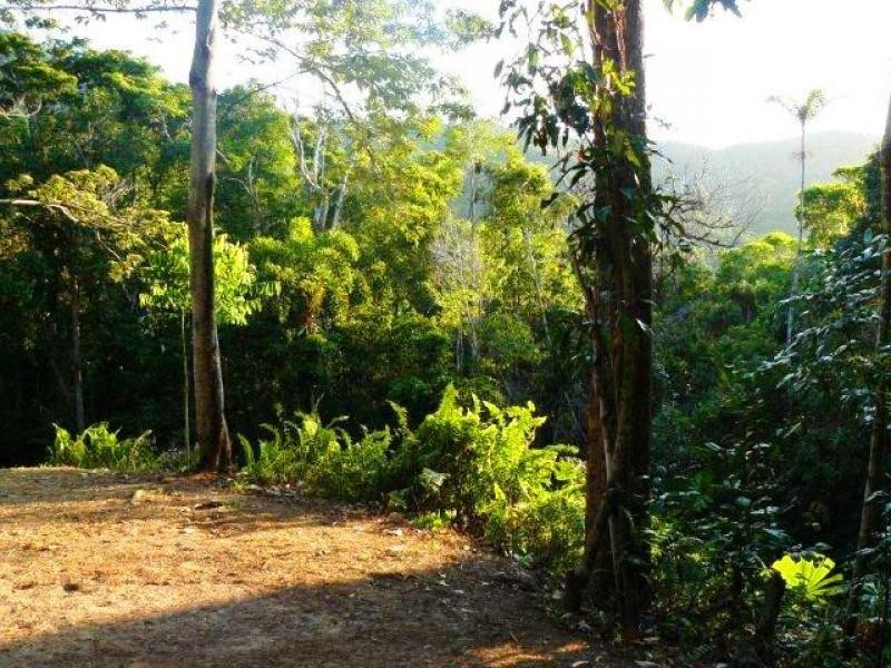 269 Kauri Close, Daintree QLD 4873