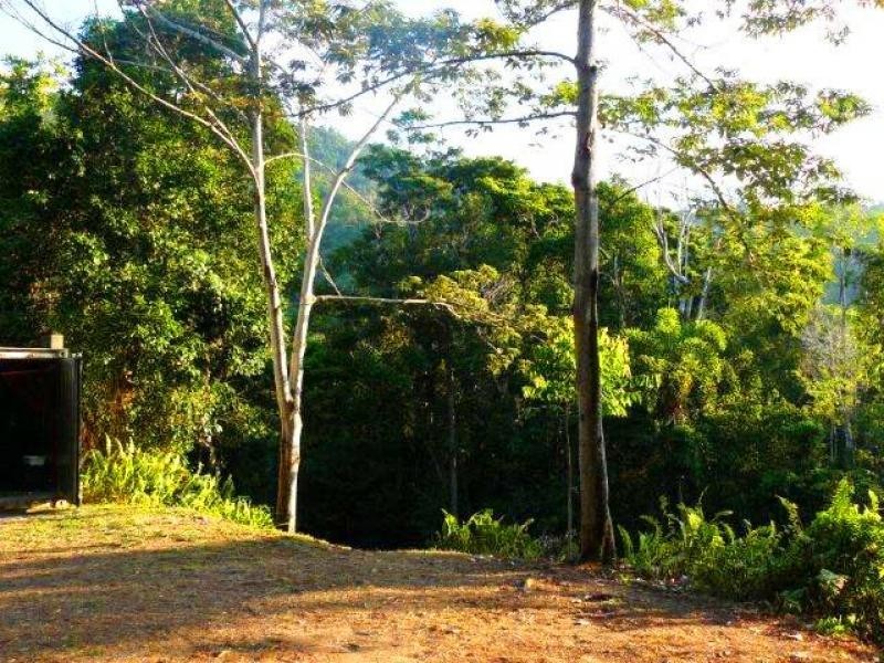 269 Kauri Close, Daintree QLD 4873