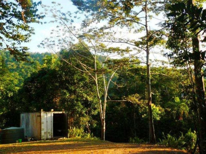 269 Kauri Close, Daintree QLD 4873