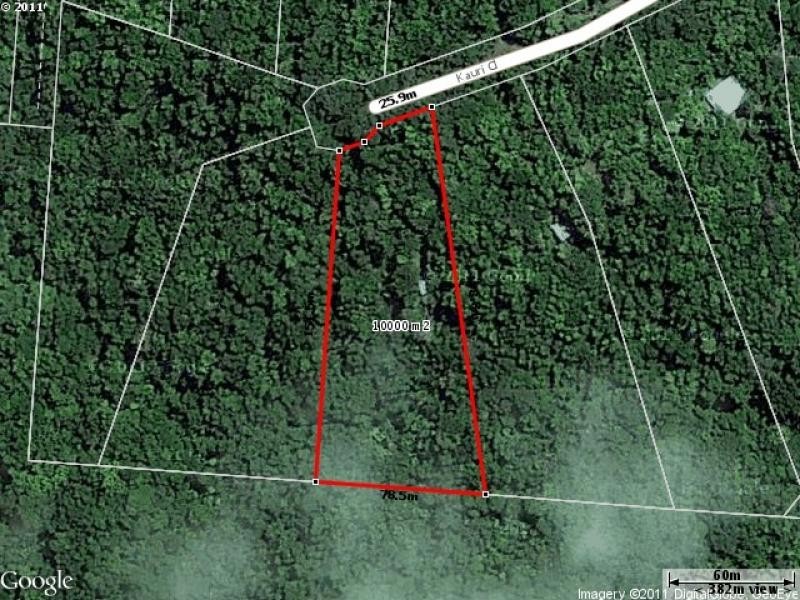 269 Kauri Close, Daintree QLD 4873