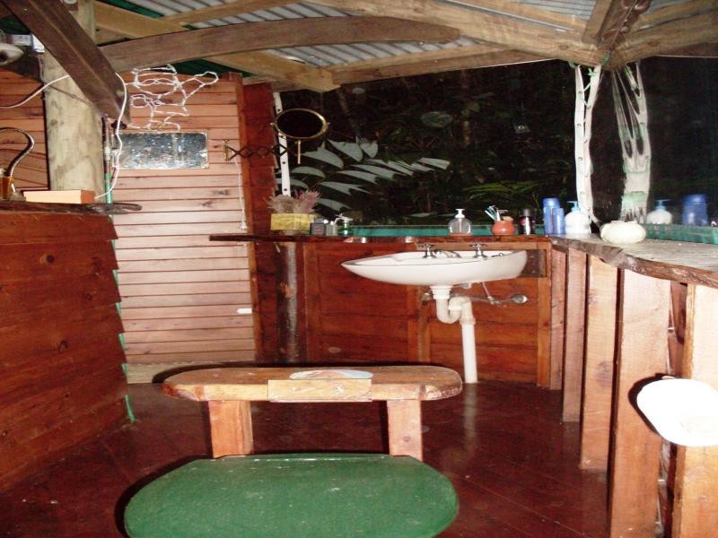 270 Kauri Close, Daintree QLD 4873