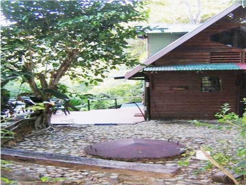 270 Kauri Close, Daintree QLD 4873