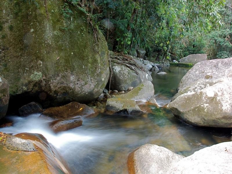 190 Stonewood road, Daintree QLD 4873