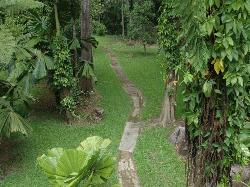 190 Stonewood road, Daintree QLD 4873