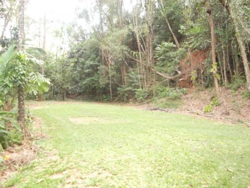 2913 Daintree Rd, Daintree QLD 4873