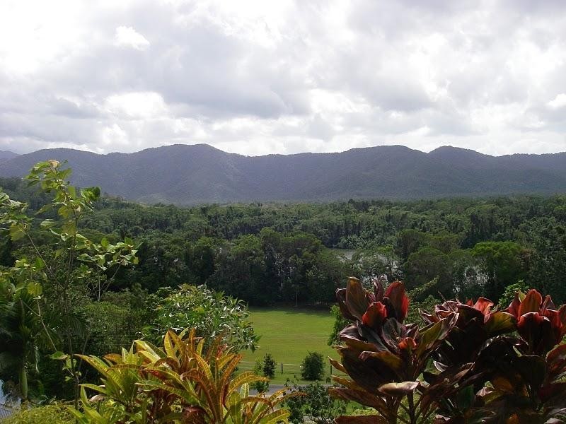 2913 Daintree Rd, Daintree QLD 4873