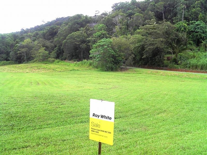 37 Spurwood Road, Daintree QLD 4873