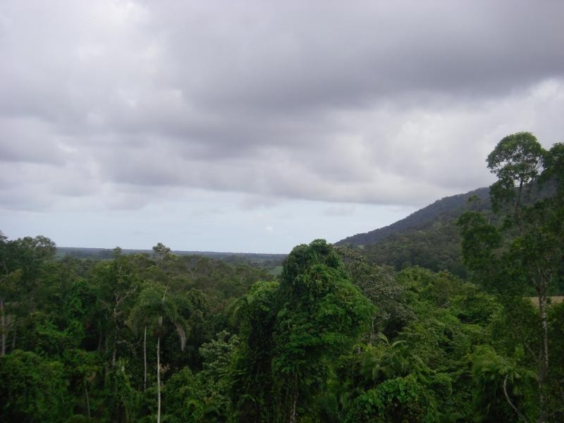 3 Mossman Daintree Road, Daintree QLD 4873