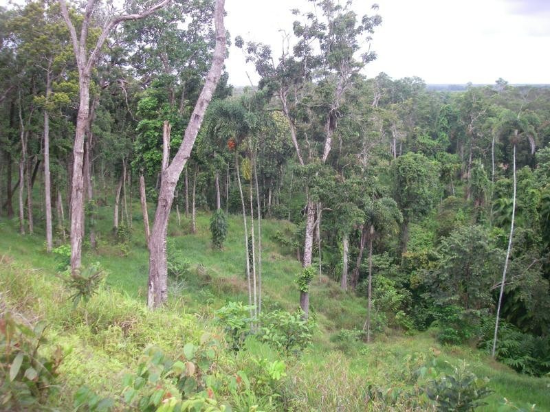 3 Mossman Daintree Road, Daintree QLD 4873