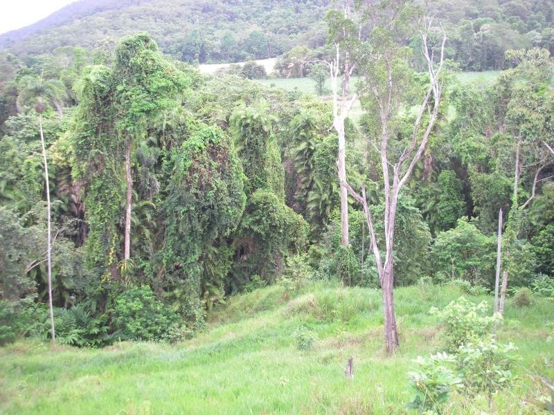 3 Mossman Daintree Road, Daintree QLD 4873