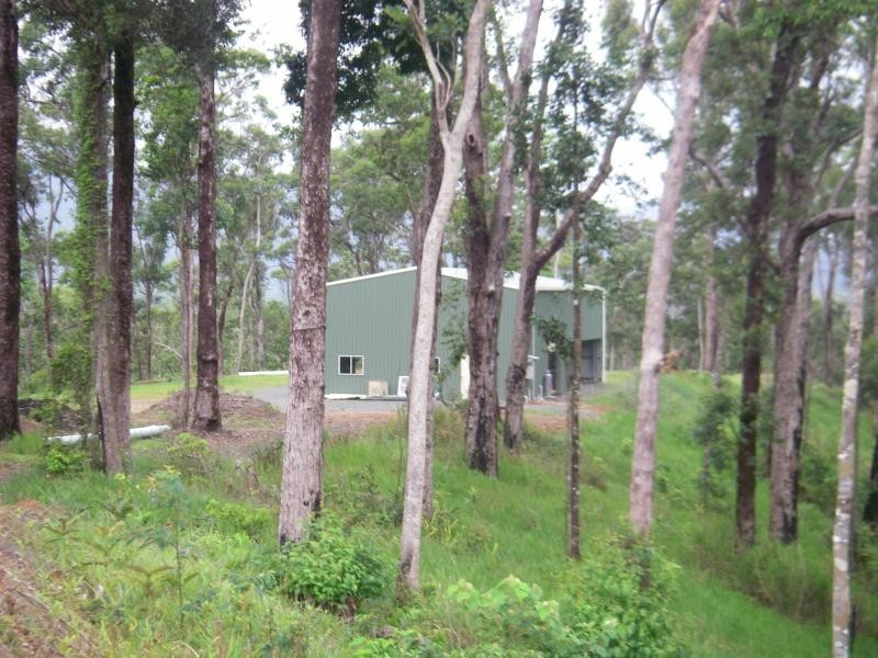 3 Mossman Daintree Road, Daintree QLD 4873