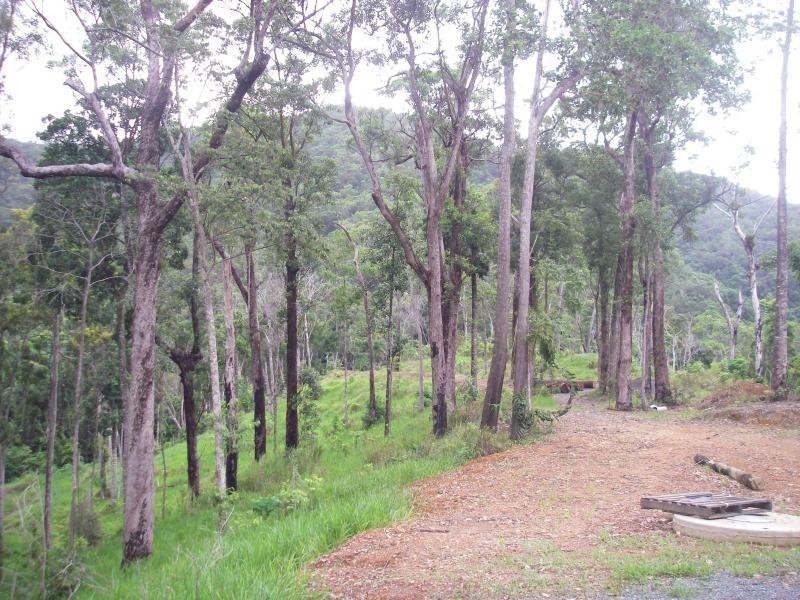 3 Mossman Daintree Road, Daintree QLD 4873