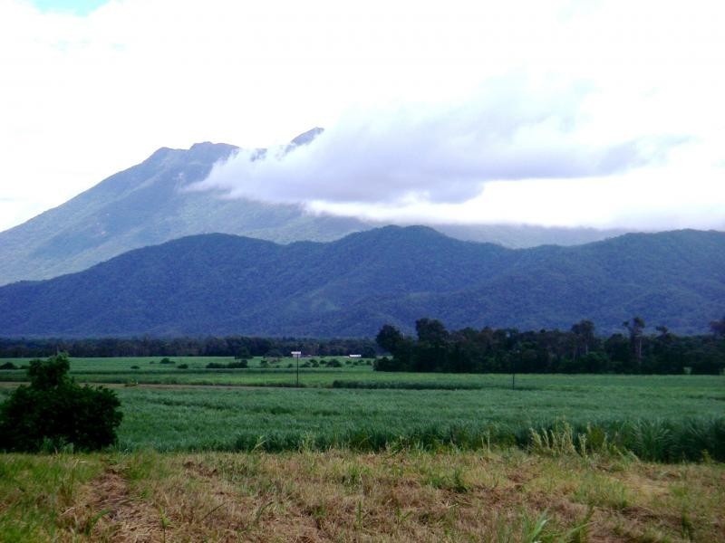 1 Dagmar Close, Lower Daintree QLD 4873