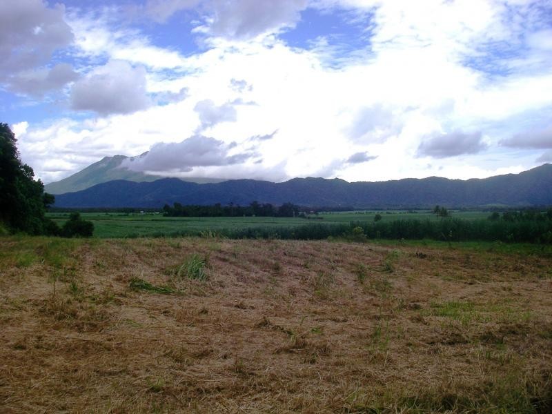 1 Dagmar Close, Lower Daintree QLD 4873