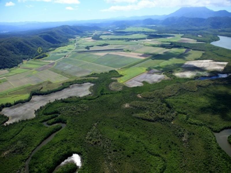 1 Dagmar Close, Lower Daintree QLD 4873