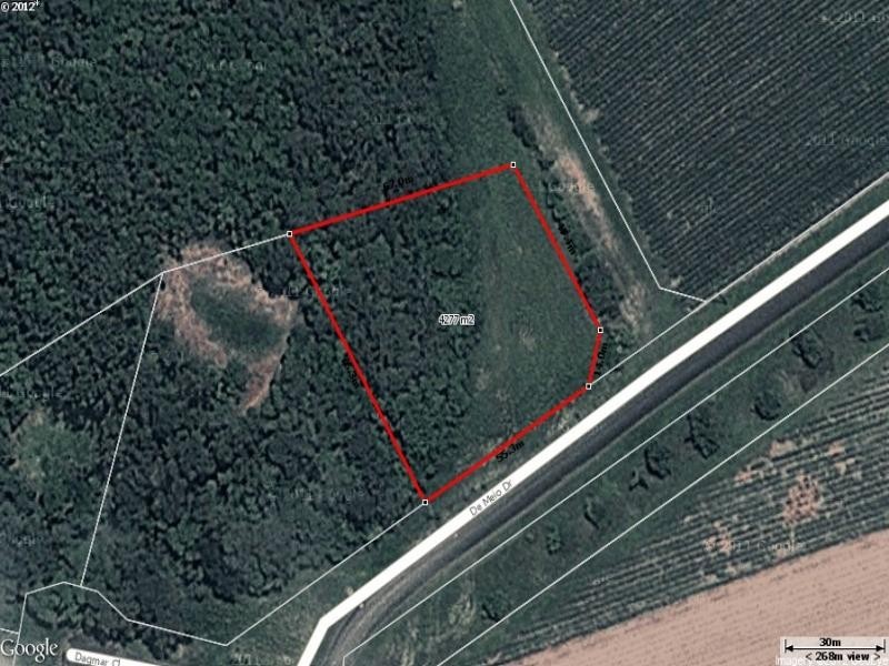 1 Dagmar Close, Lower Daintree QLD 4873