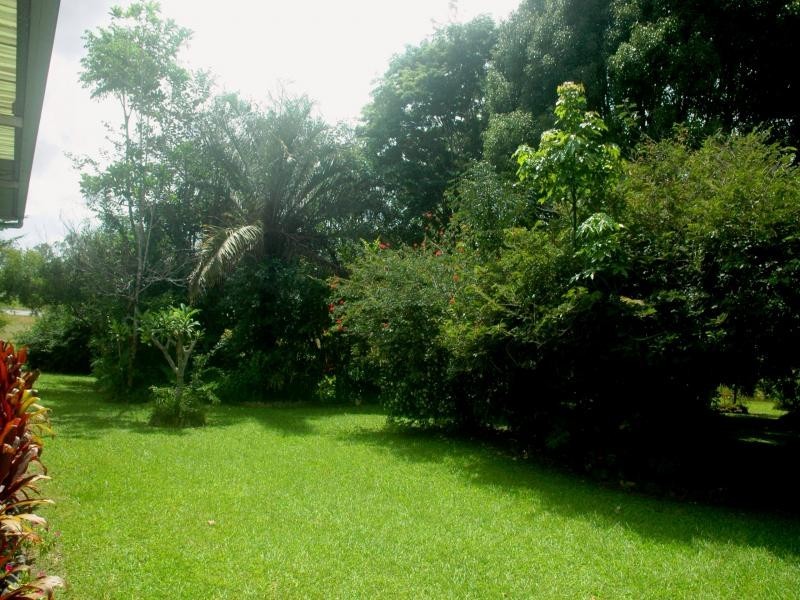 2116 mossman- mount molloy road, Julatten QLD 4871