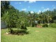 10 Stewart Street, Daintree QLD 4873