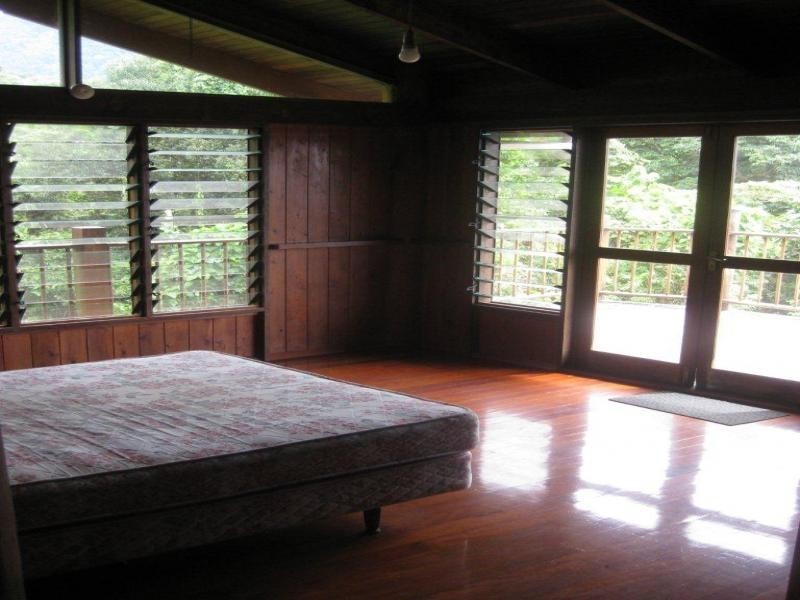 19 Iron Bark Rd, Daintree QLD 4873