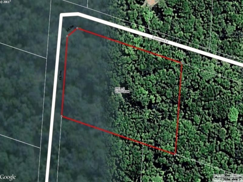 82 Rosewood Road, Daintree QLD 4873