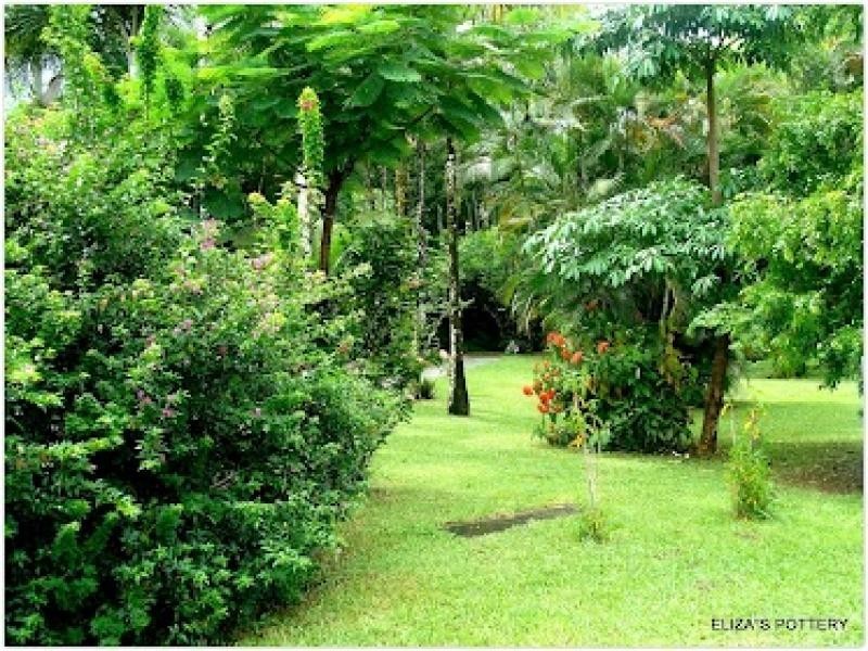 7-9 Stewart Street, Daintree QLD 4873