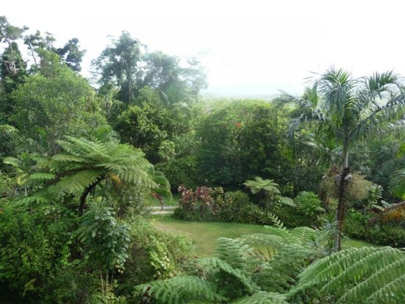 140 George Road, Daintree QLD 4873