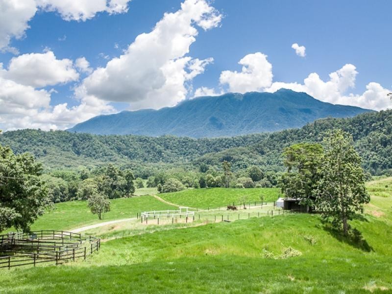 180 Upper Daintree Rd, Daintree QLD 4873