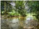 180 Upper Daintree Rd, Daintree QLD 4873
