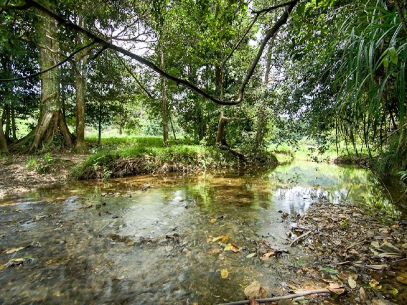 180 Upper Daintree Rd, Daintree QLD 4873