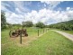 180 Upper Daintree Rd, Daintree QLD 4873