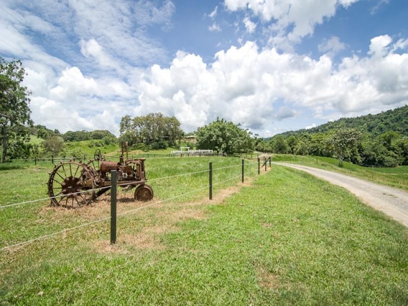 180 Upper Daintree Rd, Daintree QLD 4873