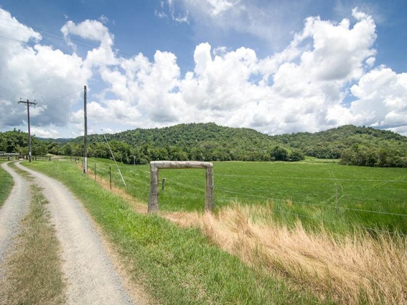 180 Upper Daintree Rd, Daintree QLD 4873