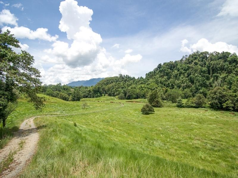180 Upper Daintree Rd, Daintree QLD 4873