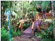 1529 Cape Tribulation Road, Daintree QLD 4873