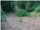 Lot 32 Cape Tribulation Road, Daintree QLD 4873