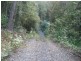 Lot 32 Cape Tribulation Road, Daintree QLD 4873