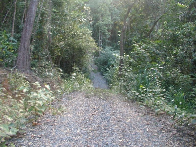 Lot 32 Cape Tribulation Road, Daintree QLD 4873