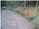 Lot 32 Cape Tribulation Road, Daintree QLD 4873
