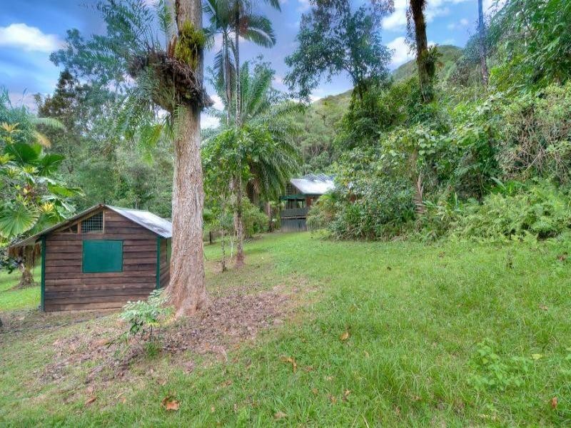 Lot  37 Cape Tribulation Road, Daintree QLD 4873