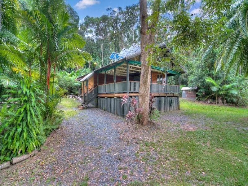 Lot  37 Cape Tribulation Road, Daintree QLD 4873