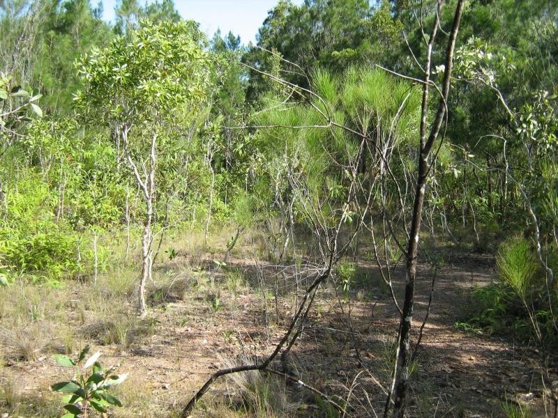 Lot 3 Thornton Peak Drive, Daintree QLD 4873