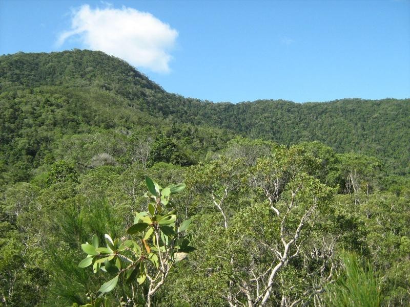 Lot 3 Thornton Peak Drive, Daintree QLD 4873