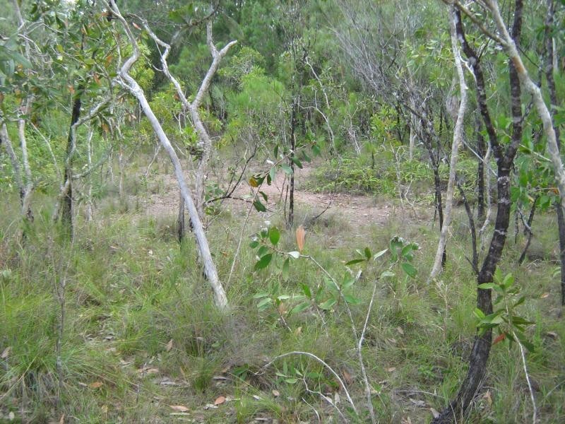 Lot 3 Thornton Peak Drive, Daintree QLD 4873