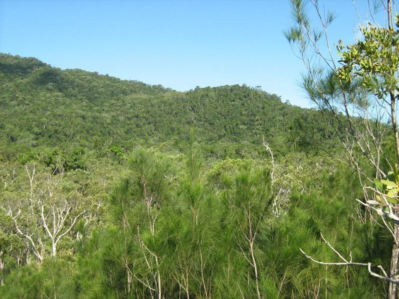 Lot 3 Thornton Peak Drive, Daintree QLD 4873