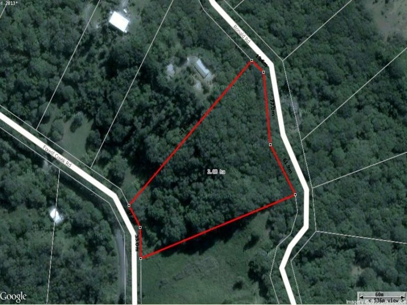 Lot 29 Forest Creek Road, Daintree QLD 4873
