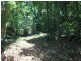 Lot 122 Carbeen Road, Daintree QLD 4873