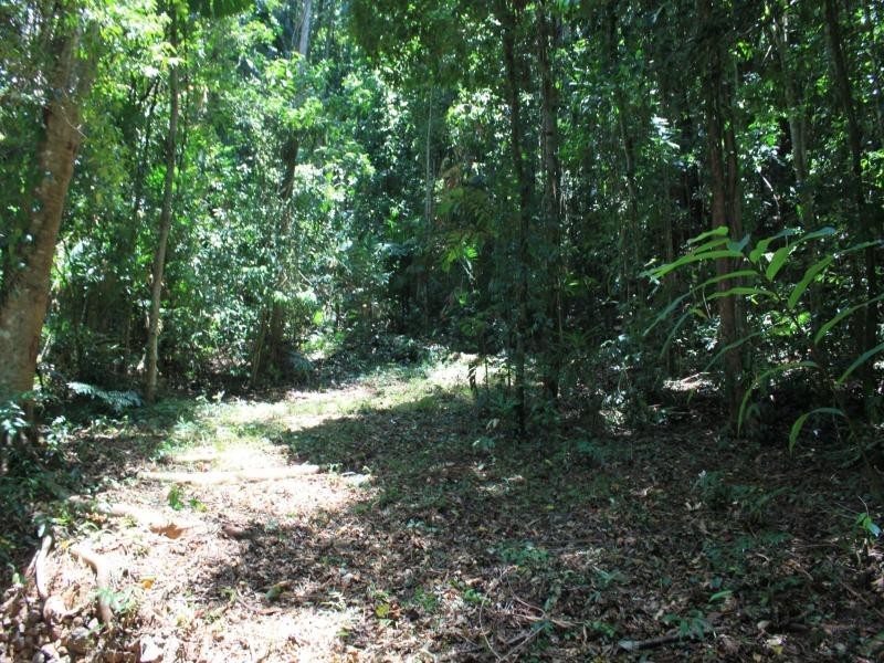 Lot 122 Carbeen Road, Daintree QLD 4873